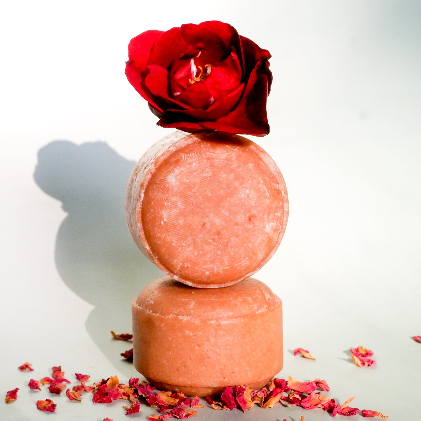 Two stacked shampoo bars with a red rose on top against a white background
