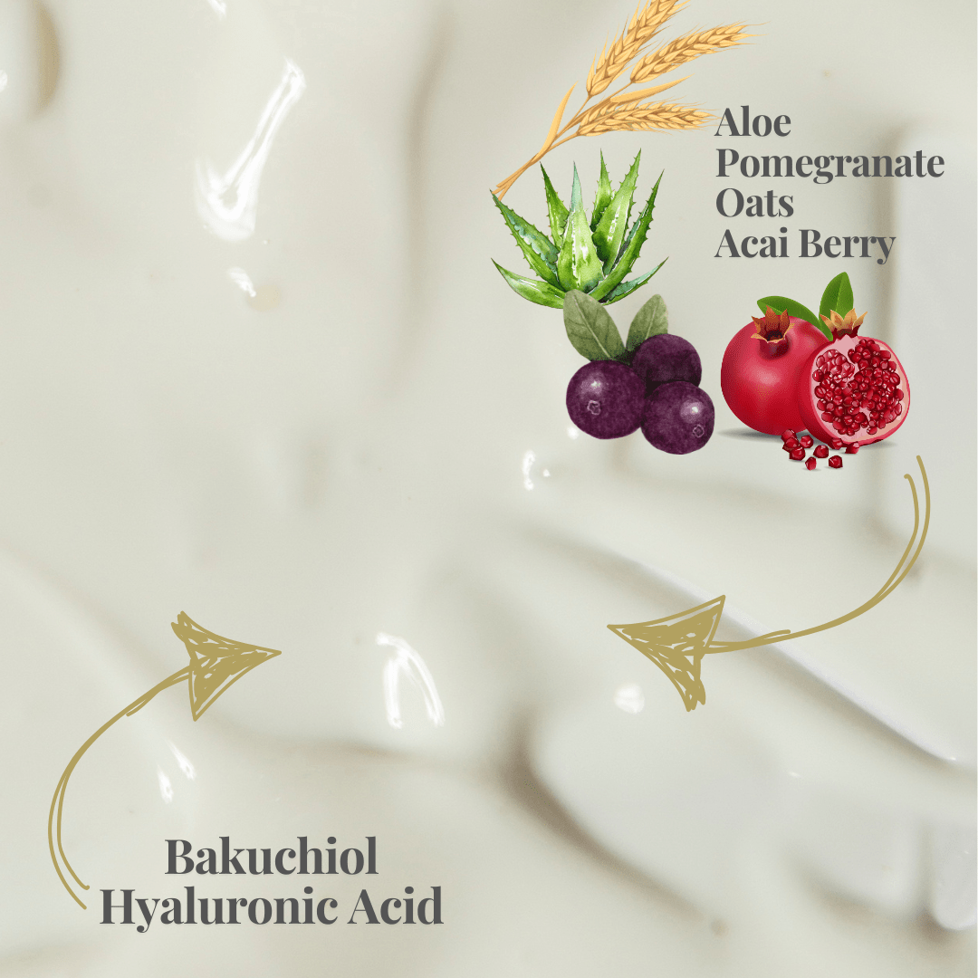 Anti - Ageing Face Cream | Hyaluronic Acid & Bakuchiol | Superfood Face Cream - Sapónne Naturals