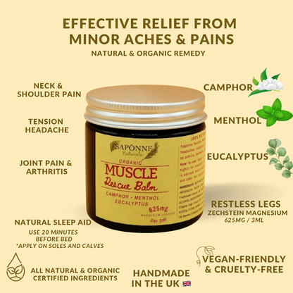 Key natural ingredients of Magnesium Muscle Rescue Balm, including Zechstein magnesium, menthol, eucalyptus oil, and organic shea butter.